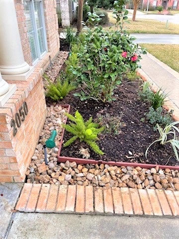 Landscaping Beaumont Texas 1