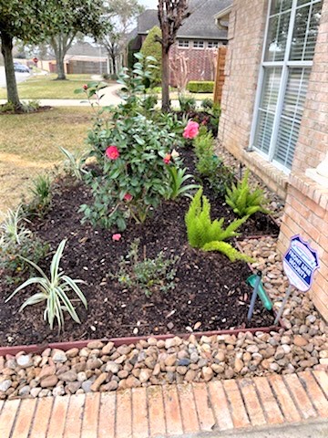 Landscaping Beaumont Texas 2